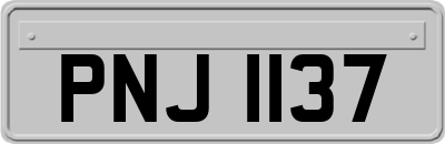 PNJ1137