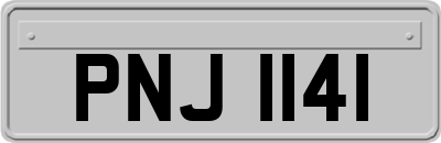 PNJ1141