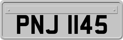PNJ1145