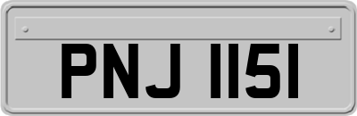 PNJ1151