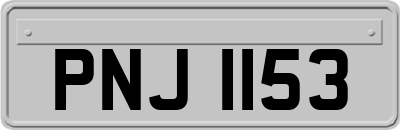 PNJ1153