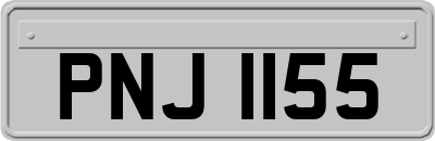 PNJ1155