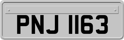 PNJ1163