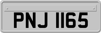 PNJ1165
