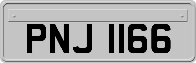PNJ1166