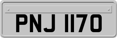 PNJ1170