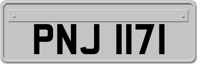 PNJ1171