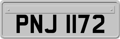 PNJ1172