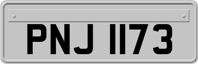 PNJ1173