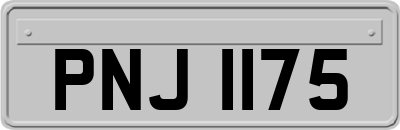 PNJ1175