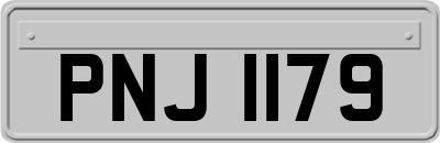 PNJ1179