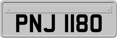 PNJ1180