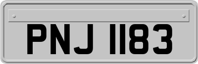 PNJ1183