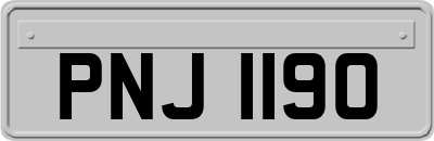 PNJ1190