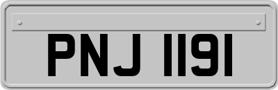 PNJ1191