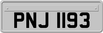 PNJ1193
