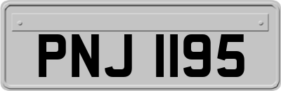 PNJ1195