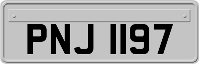 PNJ1197
