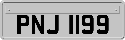PNJ1199