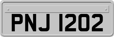 PNJ1202
