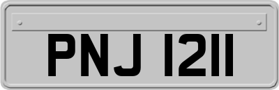 PNJ1211