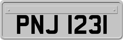 PNJ1231