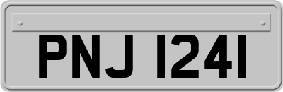 PNJ1241