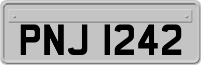 PNJ1242