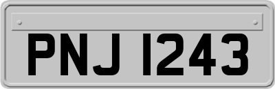 PNJ1243