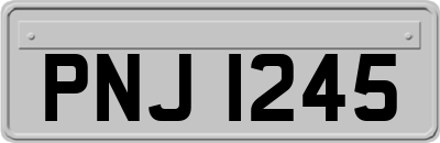 PNJ1245