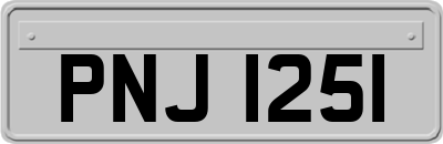 PNJ1251