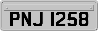 PNJ1258