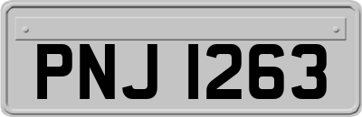 PNJ1263