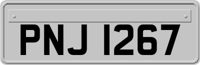 PNJ1267