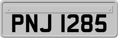 PNJ1285