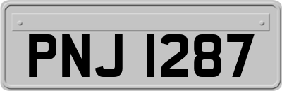 PNJ1287