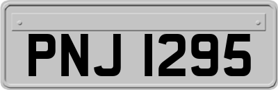 PNJ1295