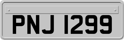 PNJ1299