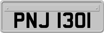 PNJ1301