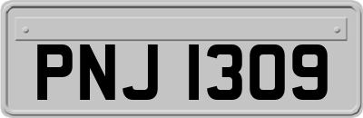 PNJ1309