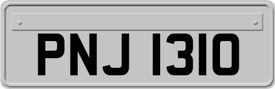 PNJ1310