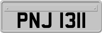 PNJ1311
