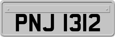 PNJ1312