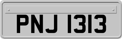 PNJ1313
