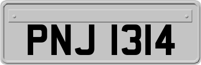 PNJ1314
