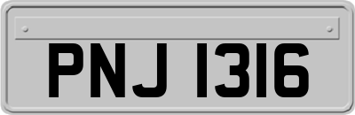 PNJ1316