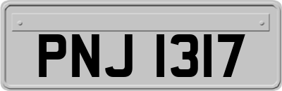 PNJ1317