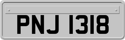 PNJ1318