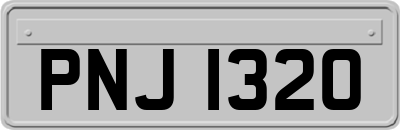 PNJ1320