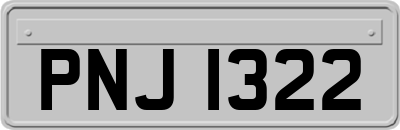 PNJ1322